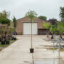 Bonte wilg op stam 180 cm stam, totale hoogte 200 - 230 cm